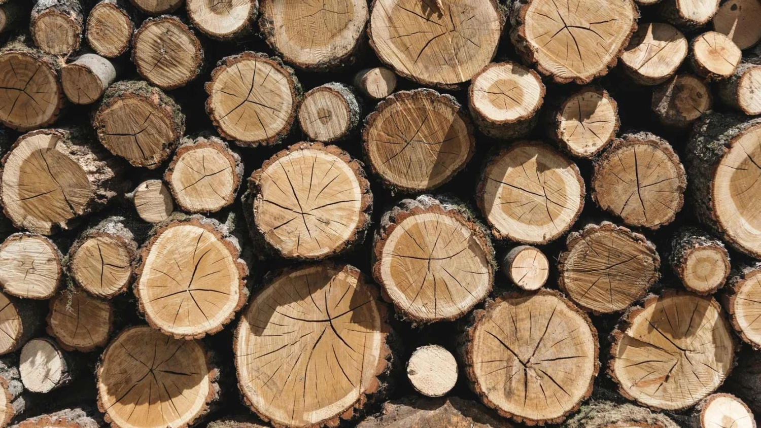 OUTIFRANCE Soldes 2022 2 OUTIFRANCE Soldes 2022 -OUTIFRANCE Soldes 2022 7987